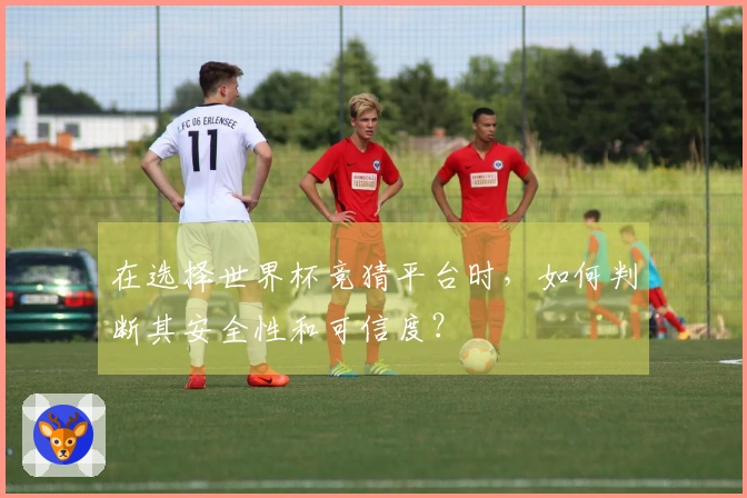 在选择世界杯竞猜平台时，如何判断其安全性和可信度？