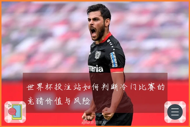 世界杯投注站如何判断冷门比赛的竞猜价值与风险